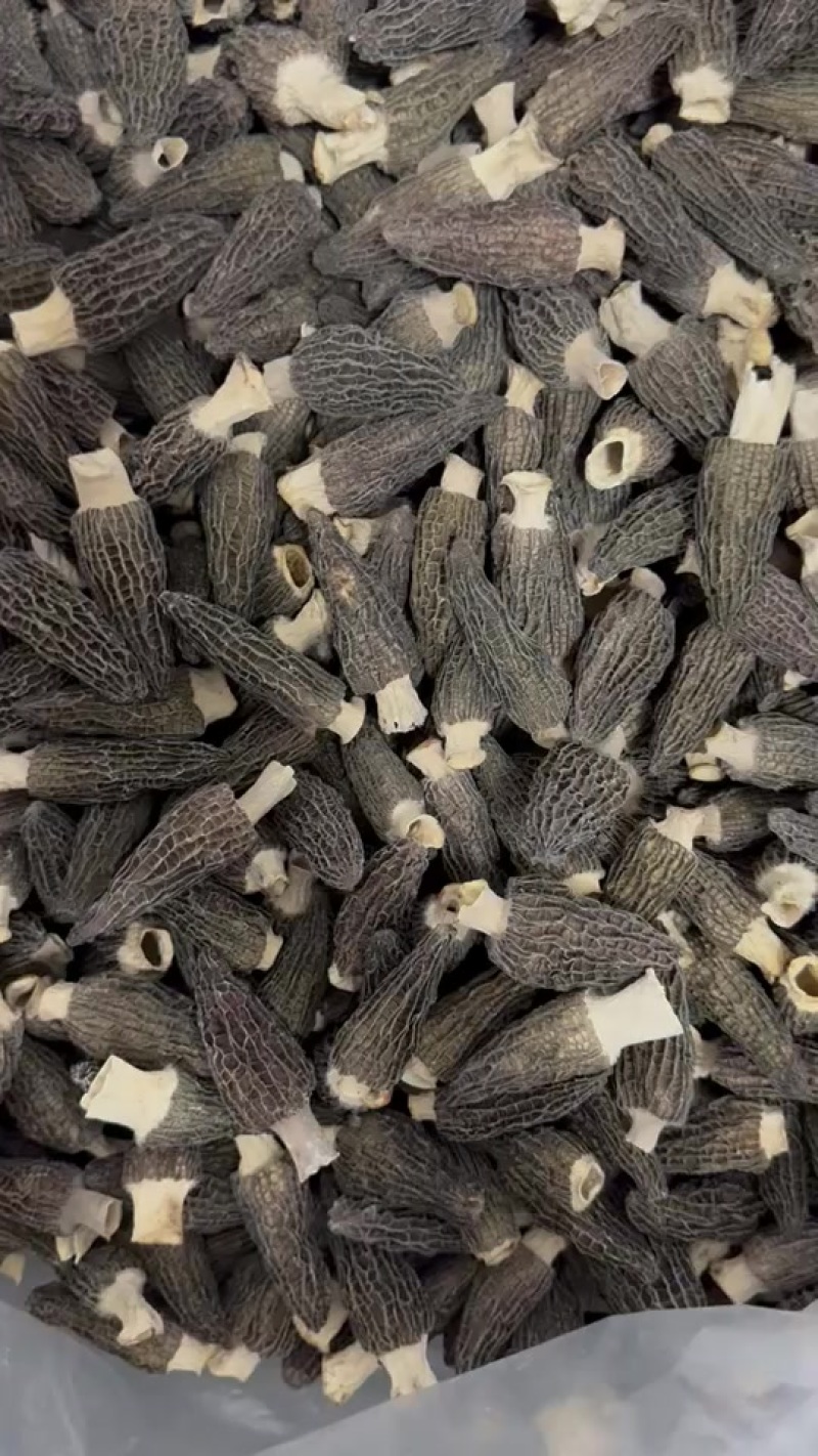 25年头茬新货物美价廉