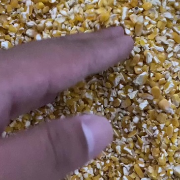 黄豆下脚料玉米下脚料