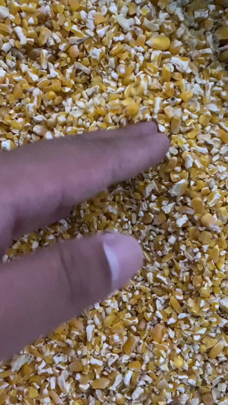 黄豆下脚料玉米下脚料