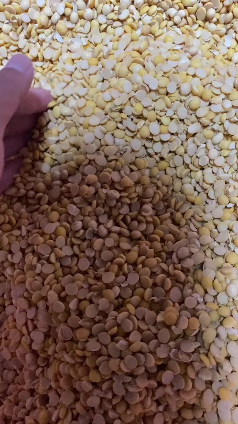 黄豆下脚料玉米下脚料