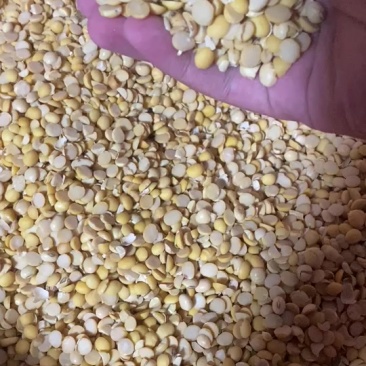 碎黄豆瓣