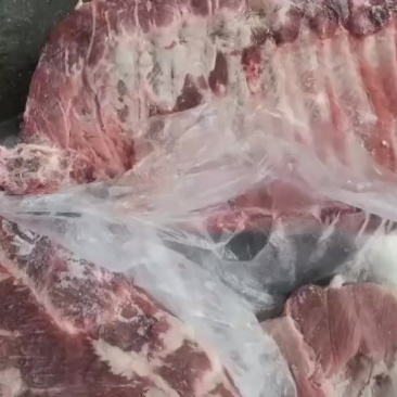 二级肋排