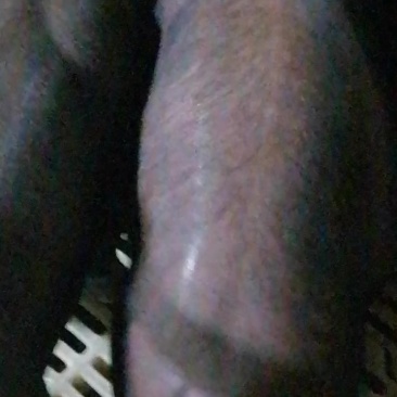 小猪苗