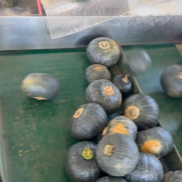 刚到一车高次，多少有点大肚脐，嘎嘎粉，喜欢的老板联系