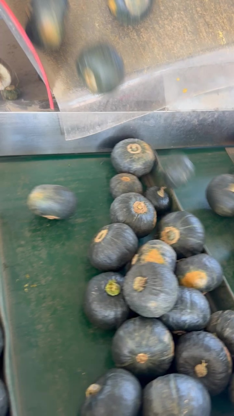 刚到一车高次，多少有点大肚脐，嘎嘎粉，喜欢的老板联系