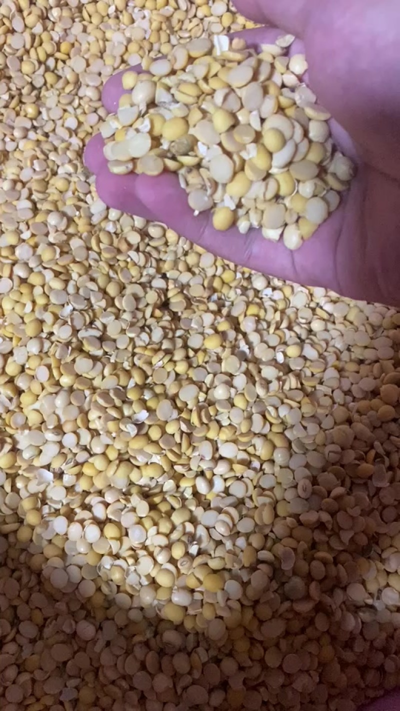 碎黄豆下脚料