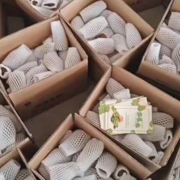 产地一手货源绿心猕猴桃，黄心猕猴桃，一件代发，整车发货，