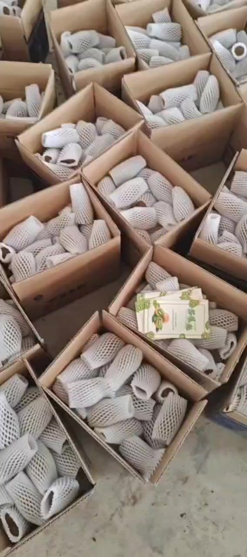 产地一手货源绿心猕猴桃，黄心猕猴桃，一件代发，整车发货，
