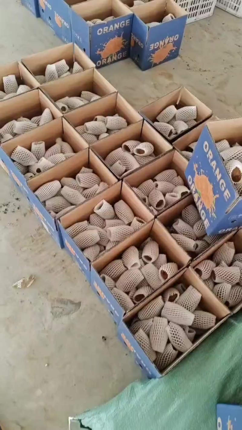 产地一手货源绿心猕猴桃，黄心猕猴桃，一件代发，整车发货，