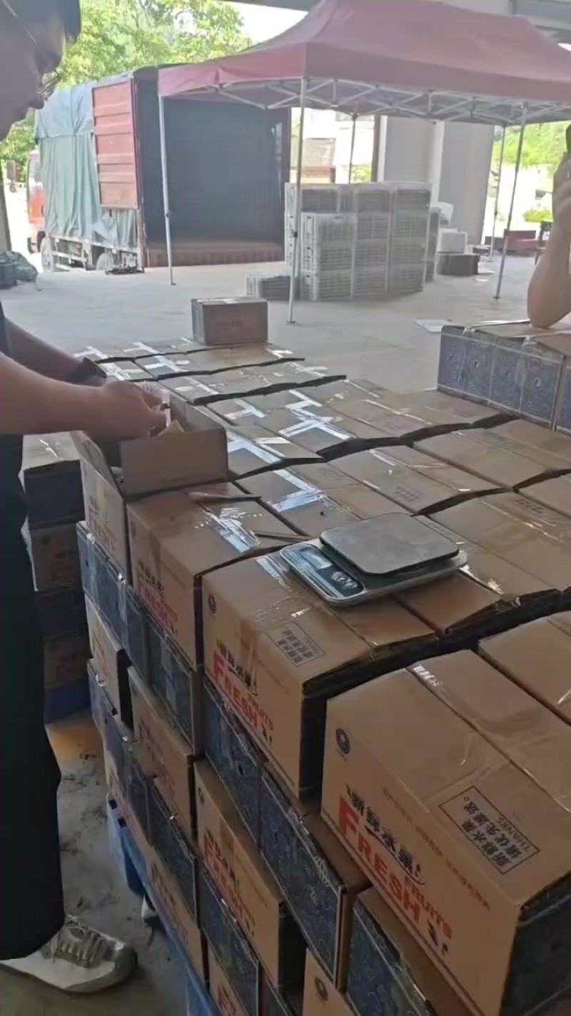 产地一手货源绿心猕猴桃，黄心猕猴桃，一件代发，整车发货，