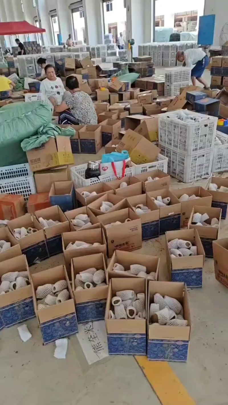 产地一手货源绿心猕猴桃，黄心猕猴桃，一件代发，整车发货，