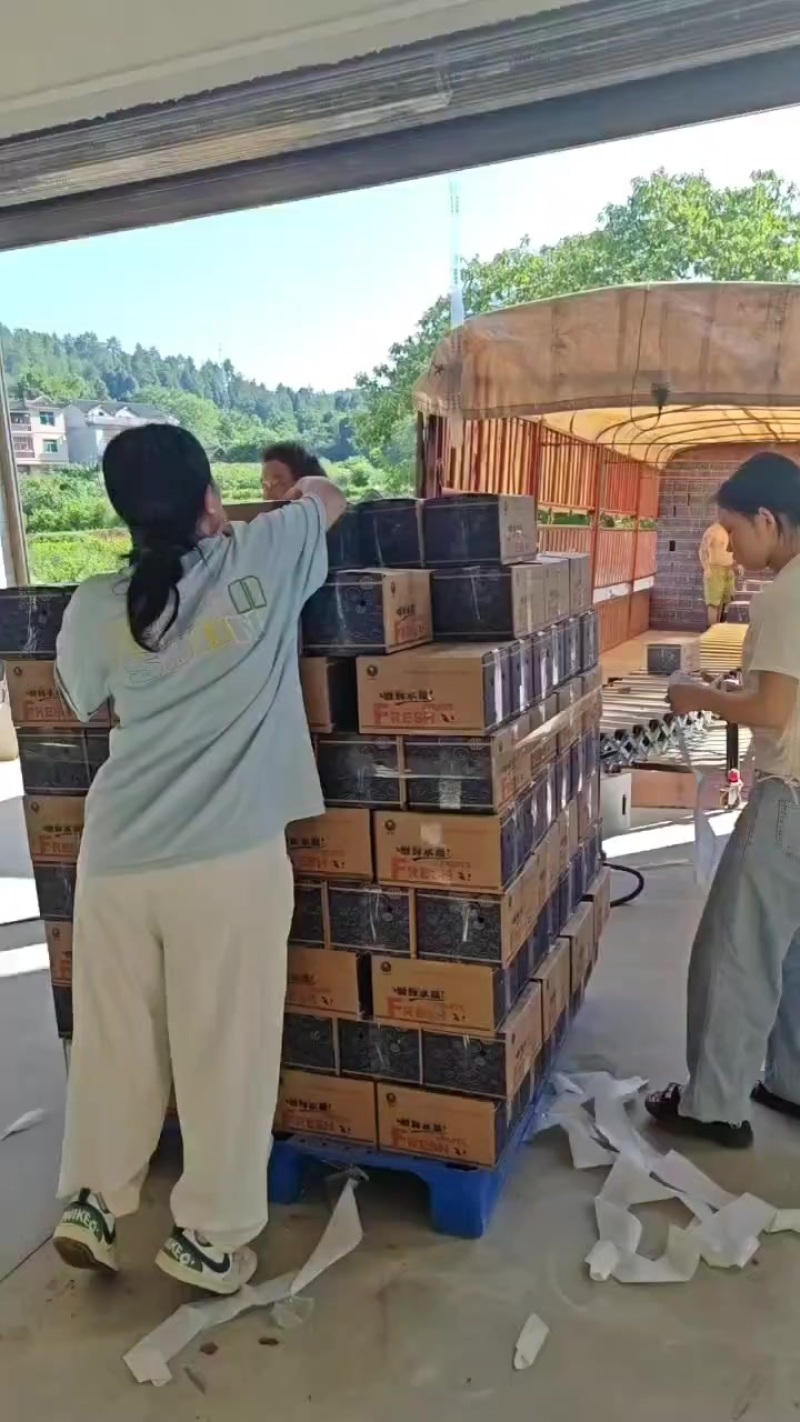 产地一手货源绿心猕猴桃，黄心猕猴桃，一件代发，整车发货，