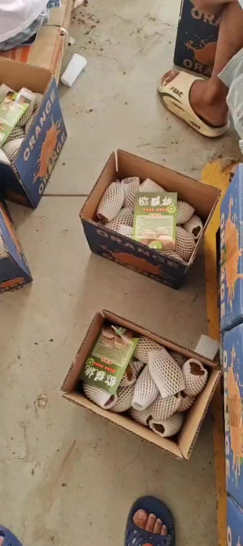 产地一手货源绿心猕猴桃，黄心猕猴桃，一件代发，整车发货，