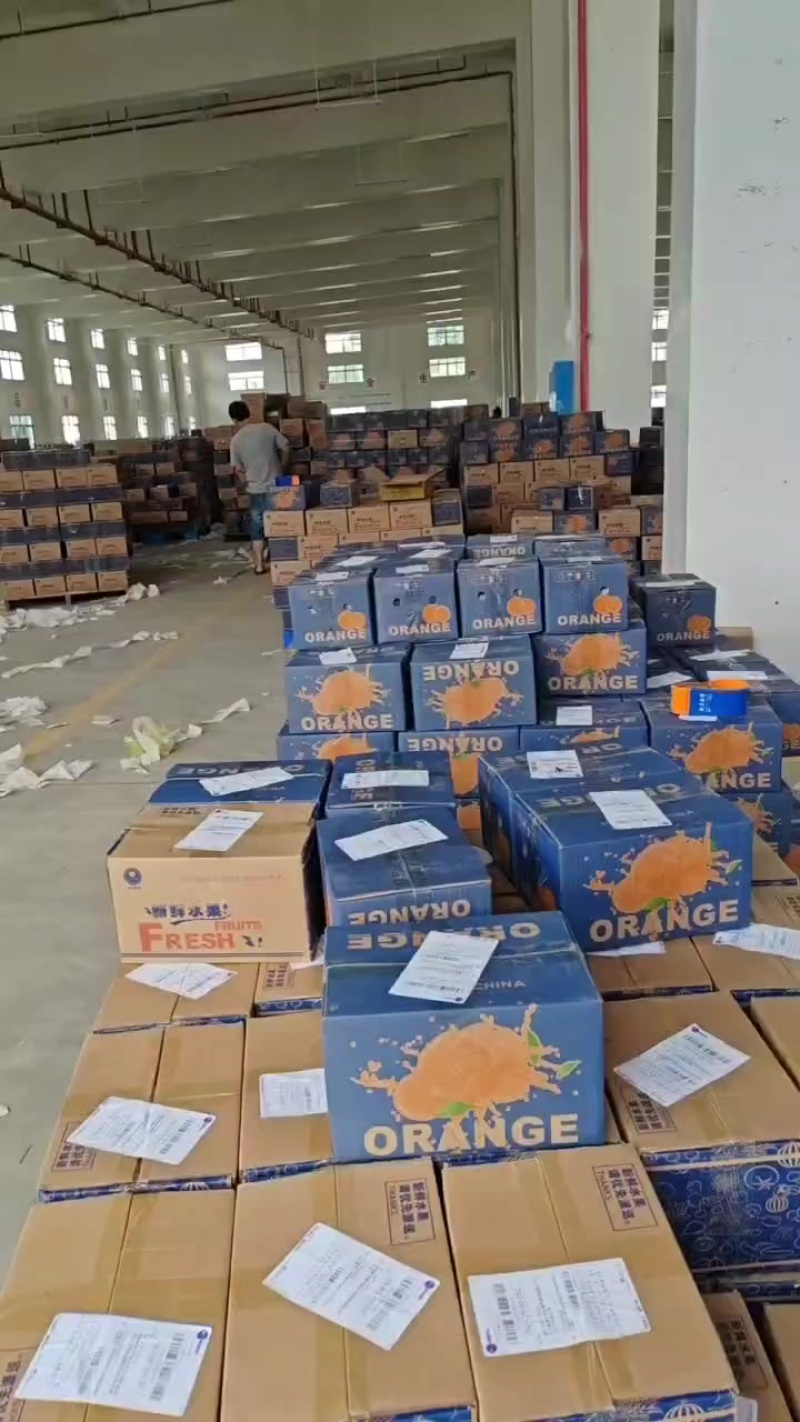 产地一手货源绿心猕猴桃，黄心猕猴桃，一件代发，整车发货，