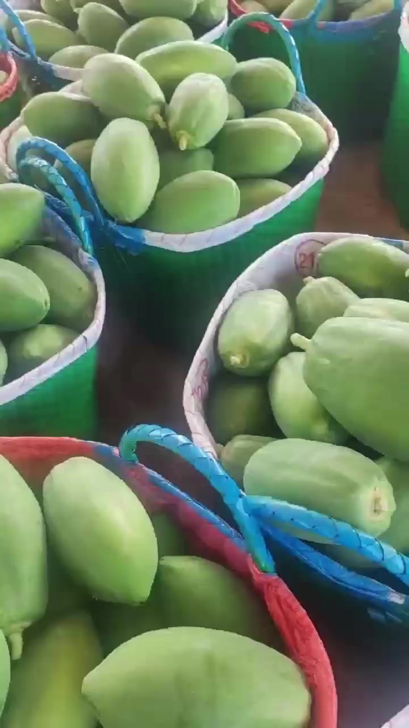 生木瓜