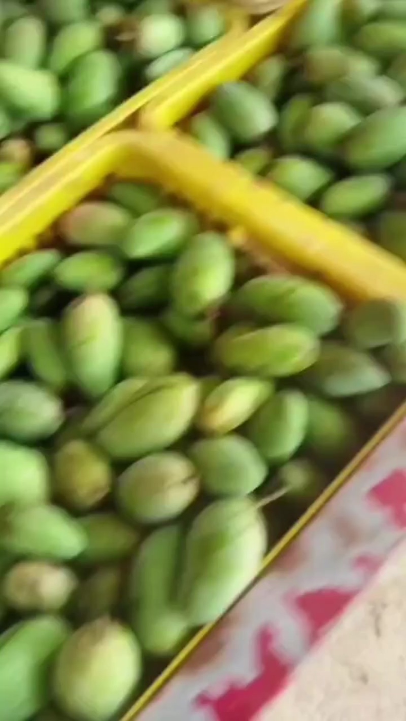 生木瓜