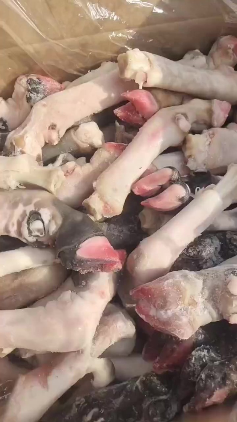 花羊蹄