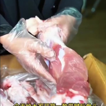 龙大腿骨厂家直销量大从优