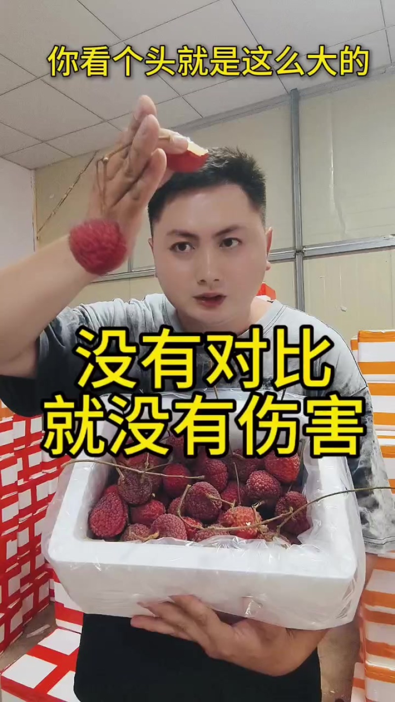 漳浦密丁香，荔枝王