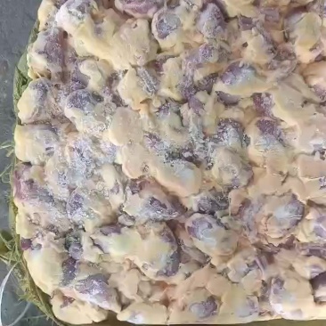红嘴雁毛胗9吨