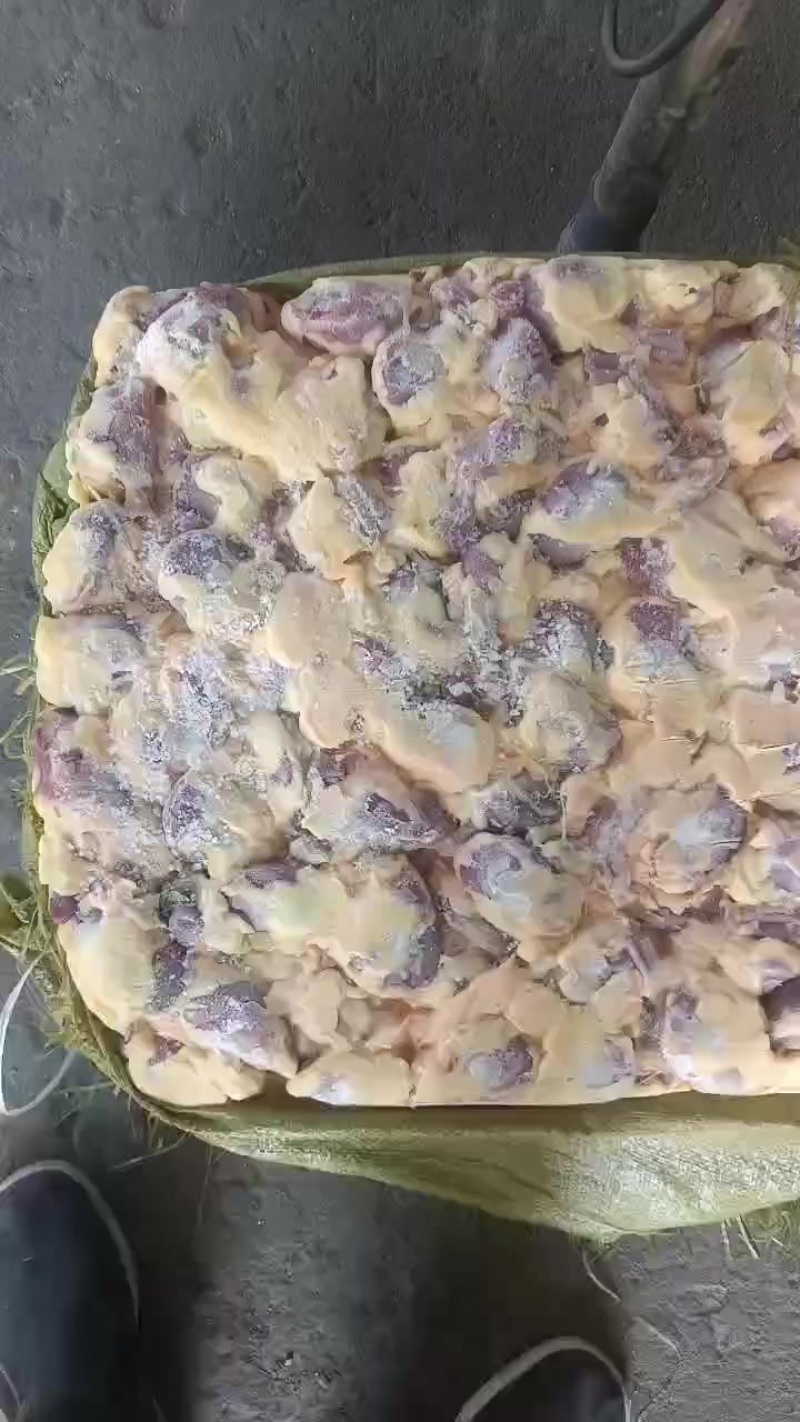 红嘴雁毛胗9吨