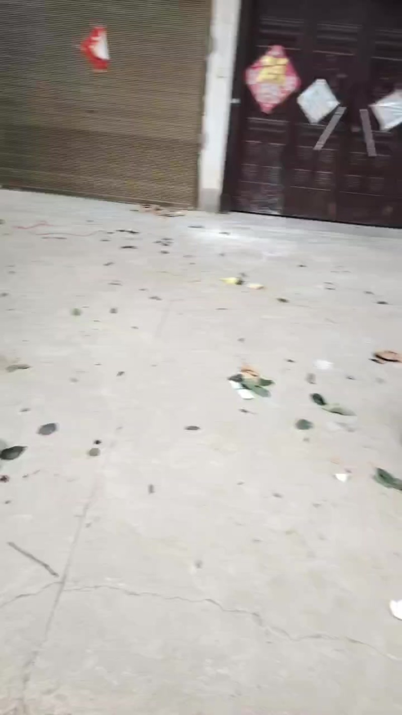 砀山梨大量上市（翠玉新玉白皇冠）等十几个早熟品种