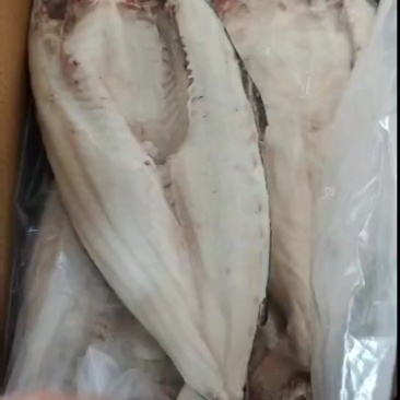 干冰巴沙鱼，20斤，这个质量真实好！
