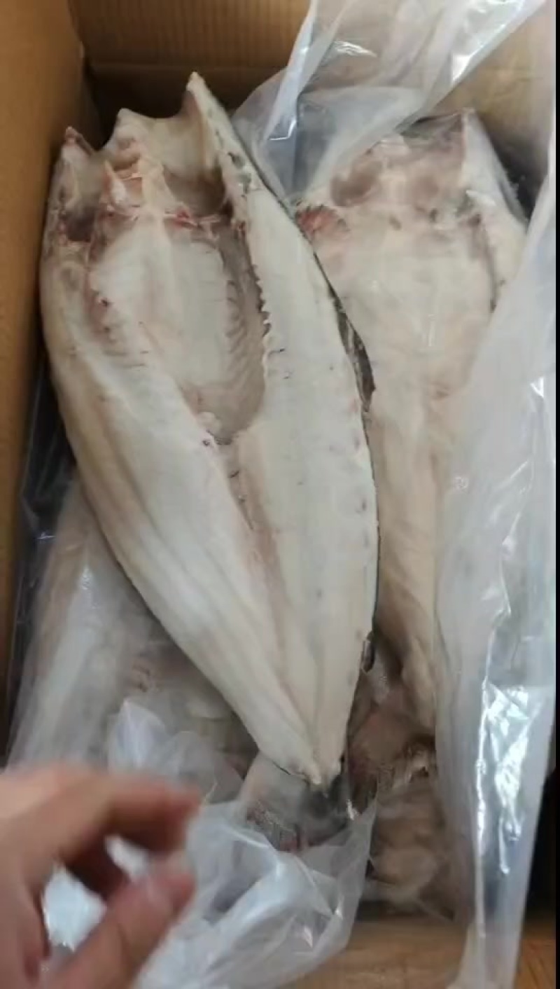 干冰巴沙鱼，20斤，这个质量真实好！