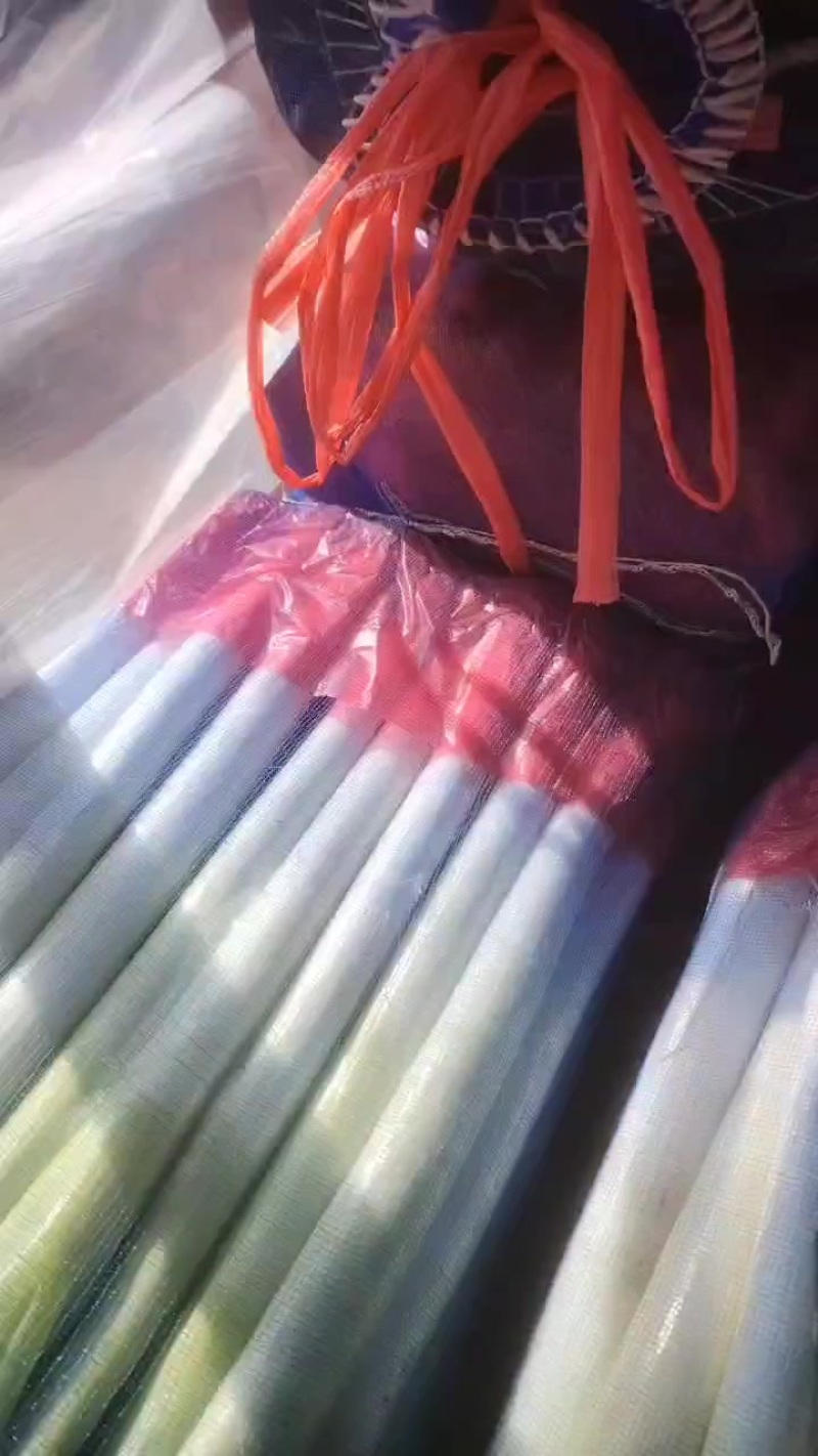 大葱