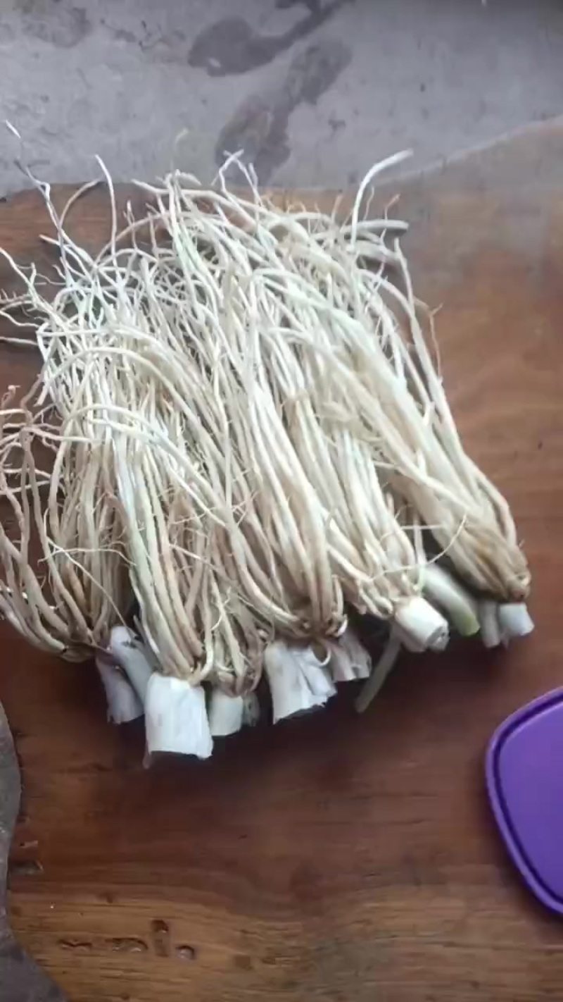 自家种植胚菜根