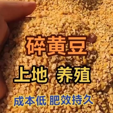 碎黄豆