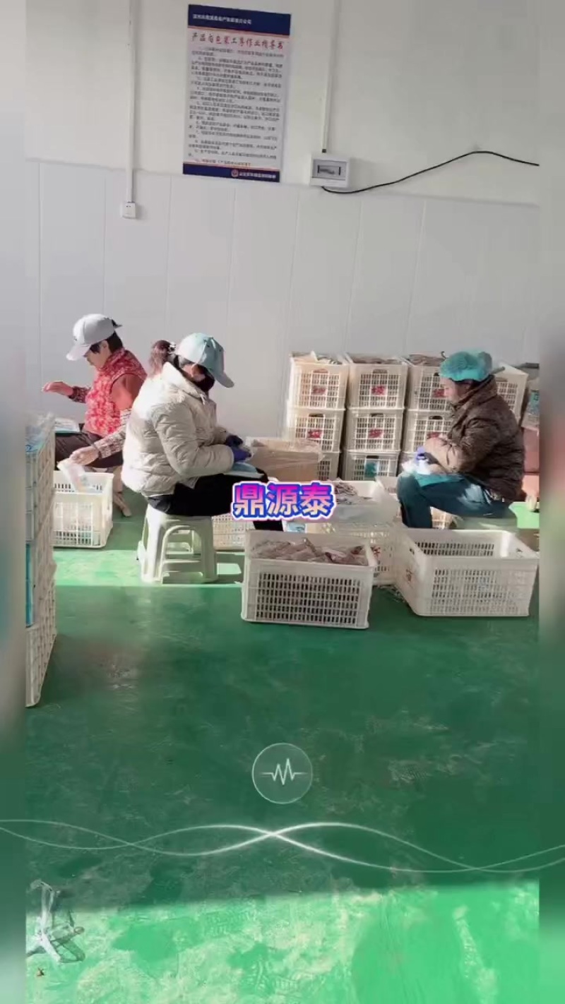 各种即食海蜇，代加工，带发货，