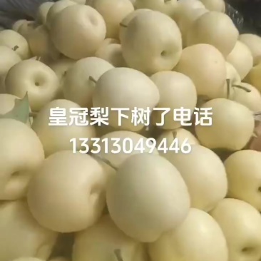 皇冠梨