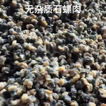 无杂质石螺肉