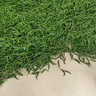 贵州艳红青辣椒
