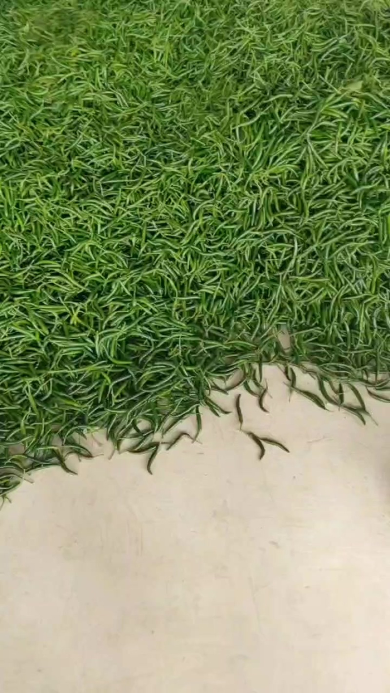 贵州艳红青辣椒
