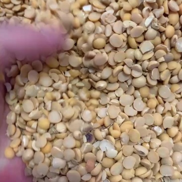 精品碎黄豆瓣