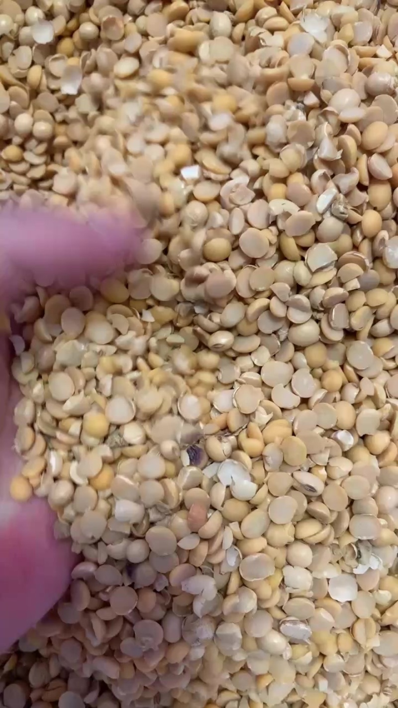 精品碎黄豆瓣