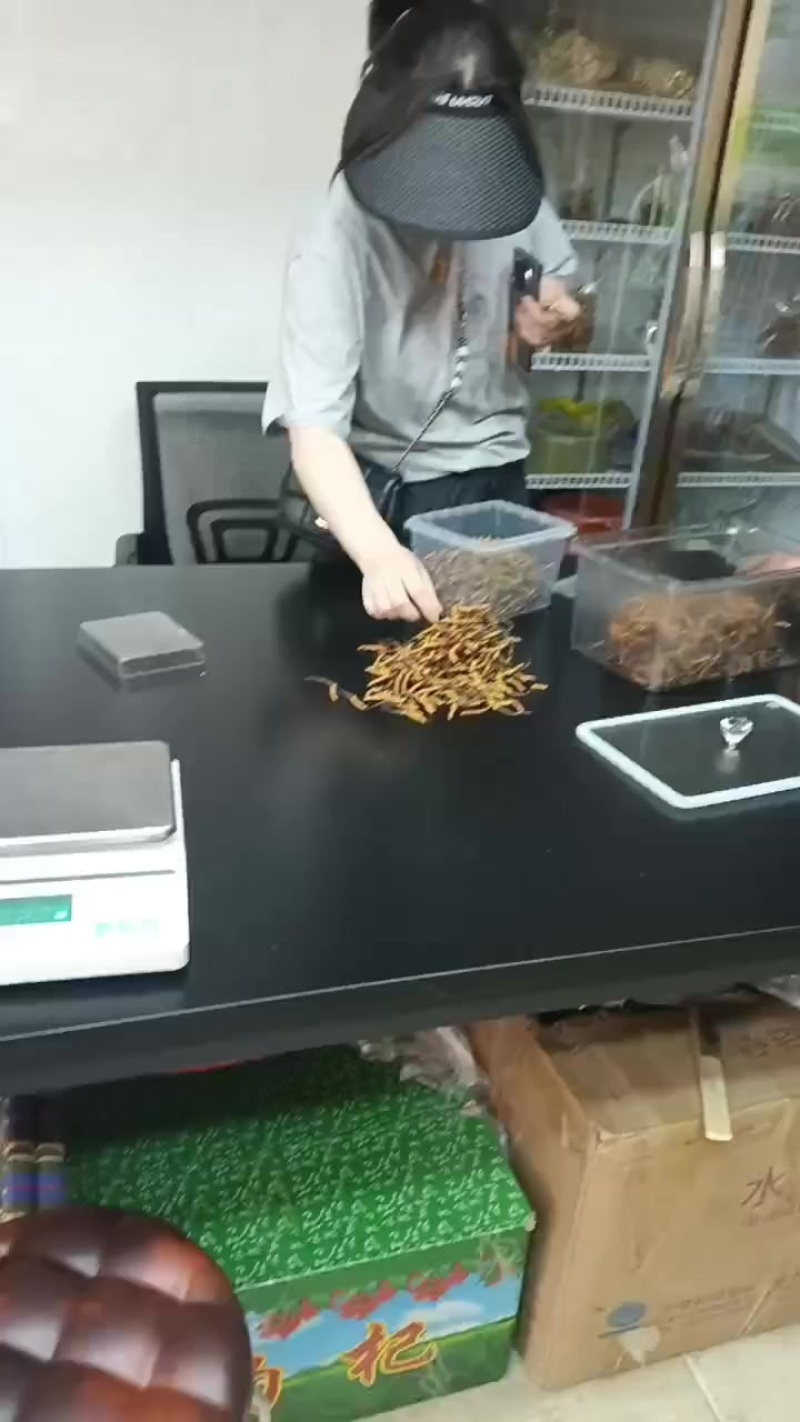 冬虫夏草