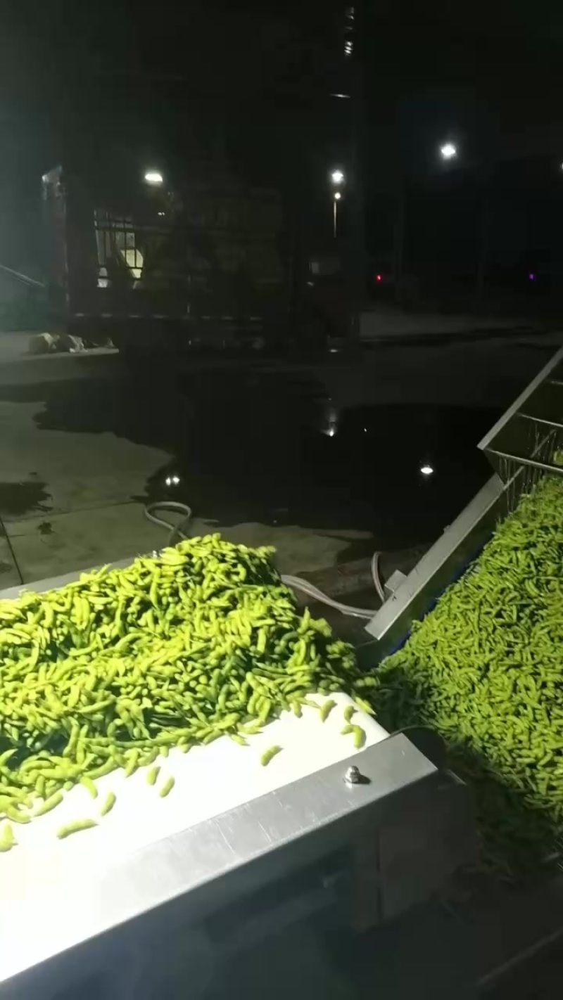 毛豆