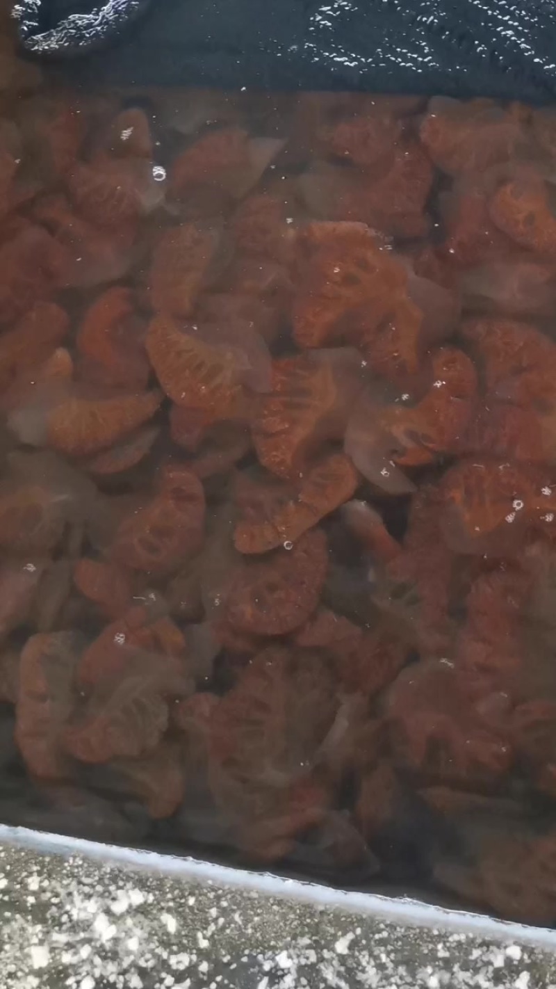 海蜇