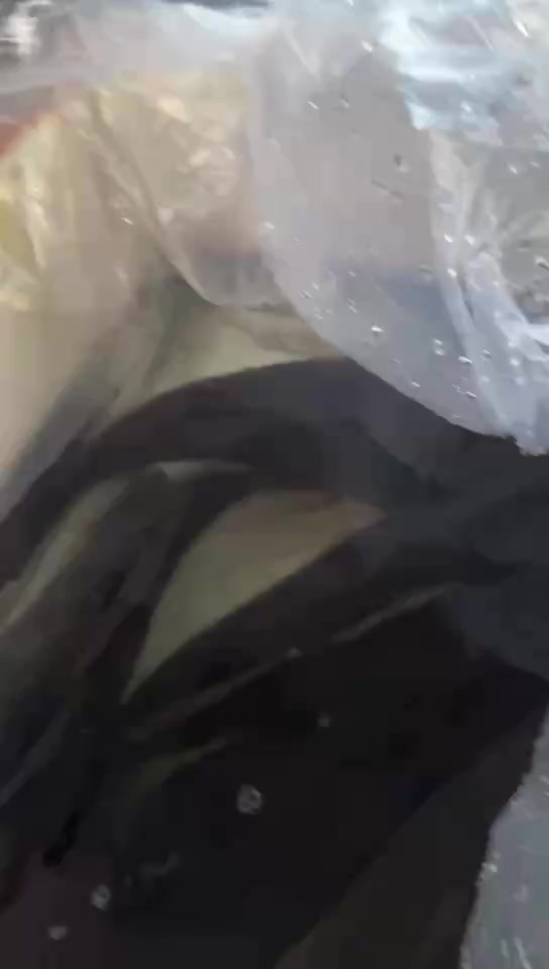 笋壳鱼，规格齐全，货源充足，全国发货