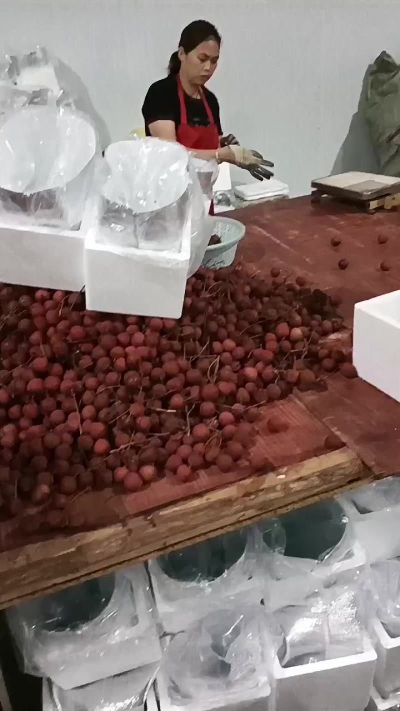 广西妃子笑