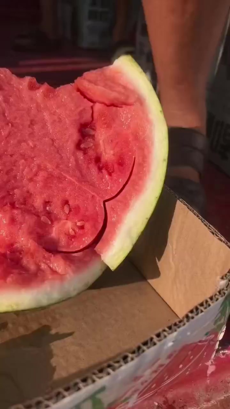 精品无籽美都麒麟西瓜