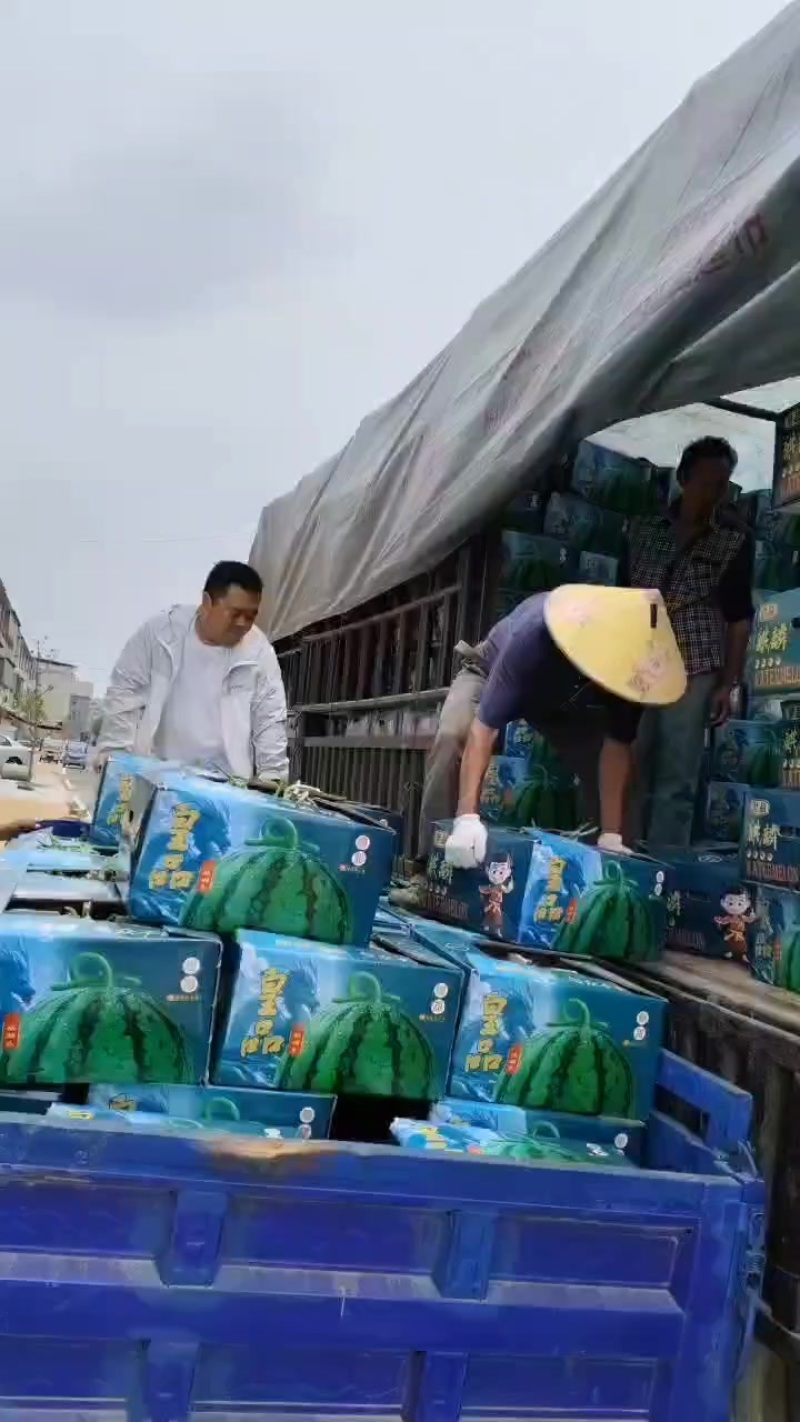 精品头茬无籽美都，二茬黑籽美都！***********