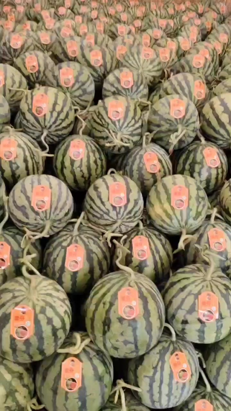 精品头茬无籽美都，二茬黑籽美都！***********