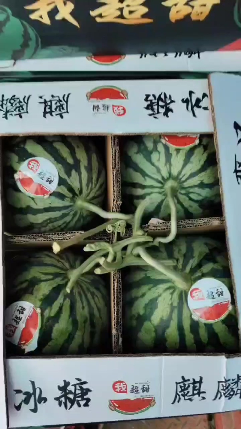精品头茬无籽美都，二茬黑籽美都！***********