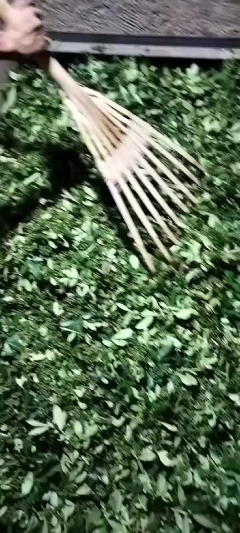 青花椒麻香味俱全