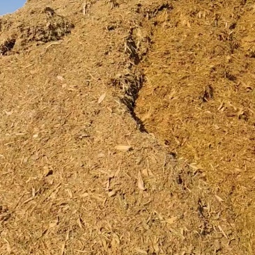 黄储草料，小麦秸秆