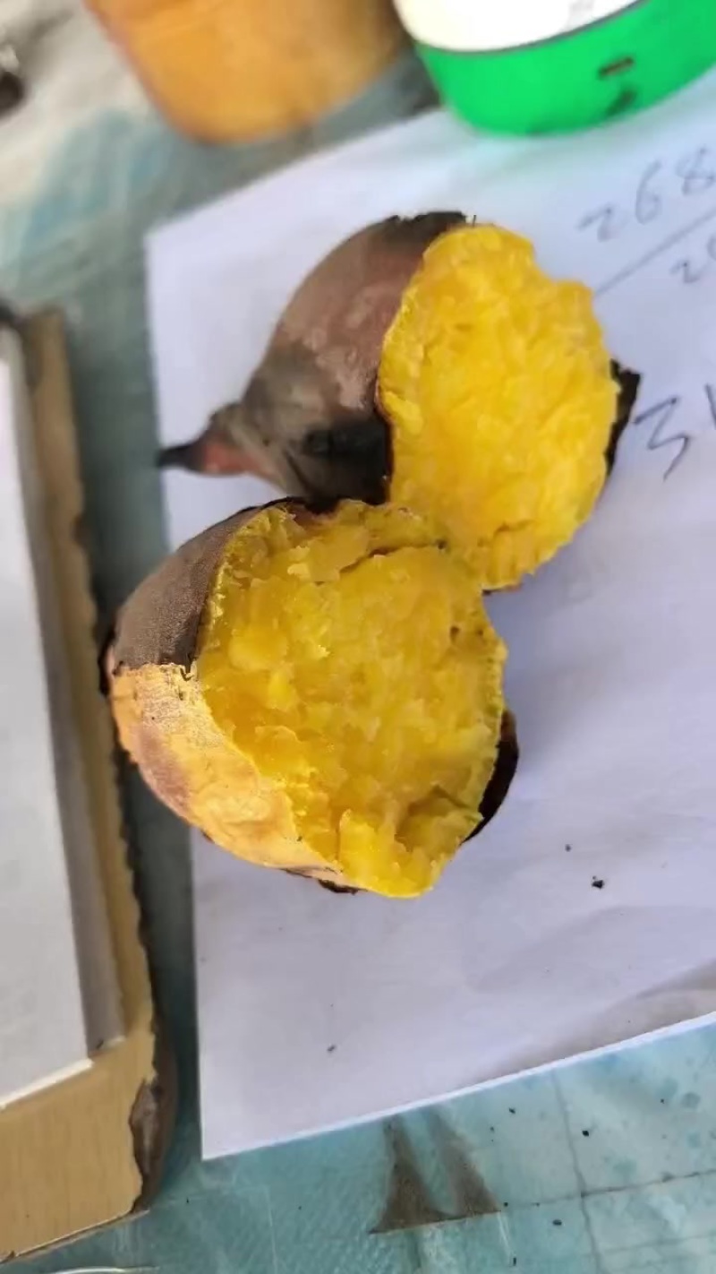 精品地瓜，龙九，口感软糯香甜，质地好，有卖相